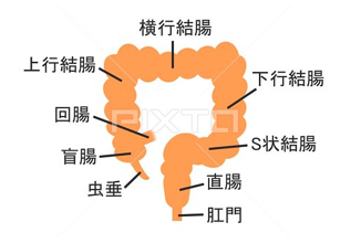 痔瘻（あな痔）